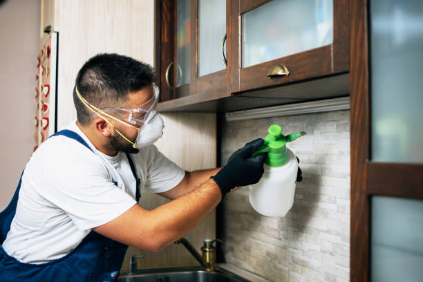 Best Affordable Pest Control Services  in Huntington, TX