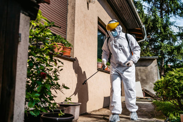 Pest Control Cost in Huntington, TX