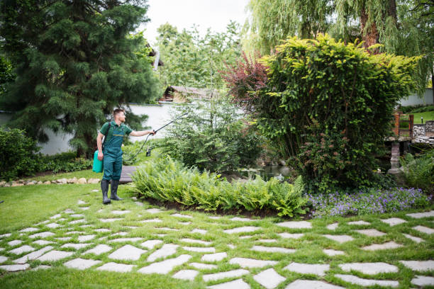 Best Best Pest Control Companies  in Huntington, TX