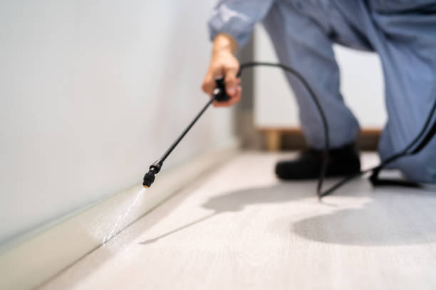 Professional Pest Control in Huntington, TX