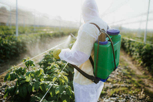 Best Commercial Pest Control Services  in Huntington, TX